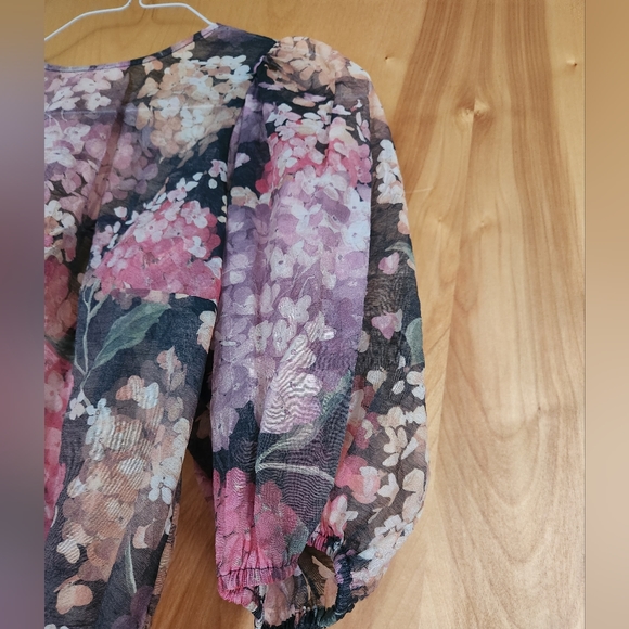 Sheer Hydragraga puff sleeve top - Picture 4 of 6